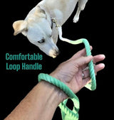 Green Ombre Boho Chic Dog Leash