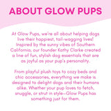 Thanksgiving Squeaky Plush Turkey Dog Toy