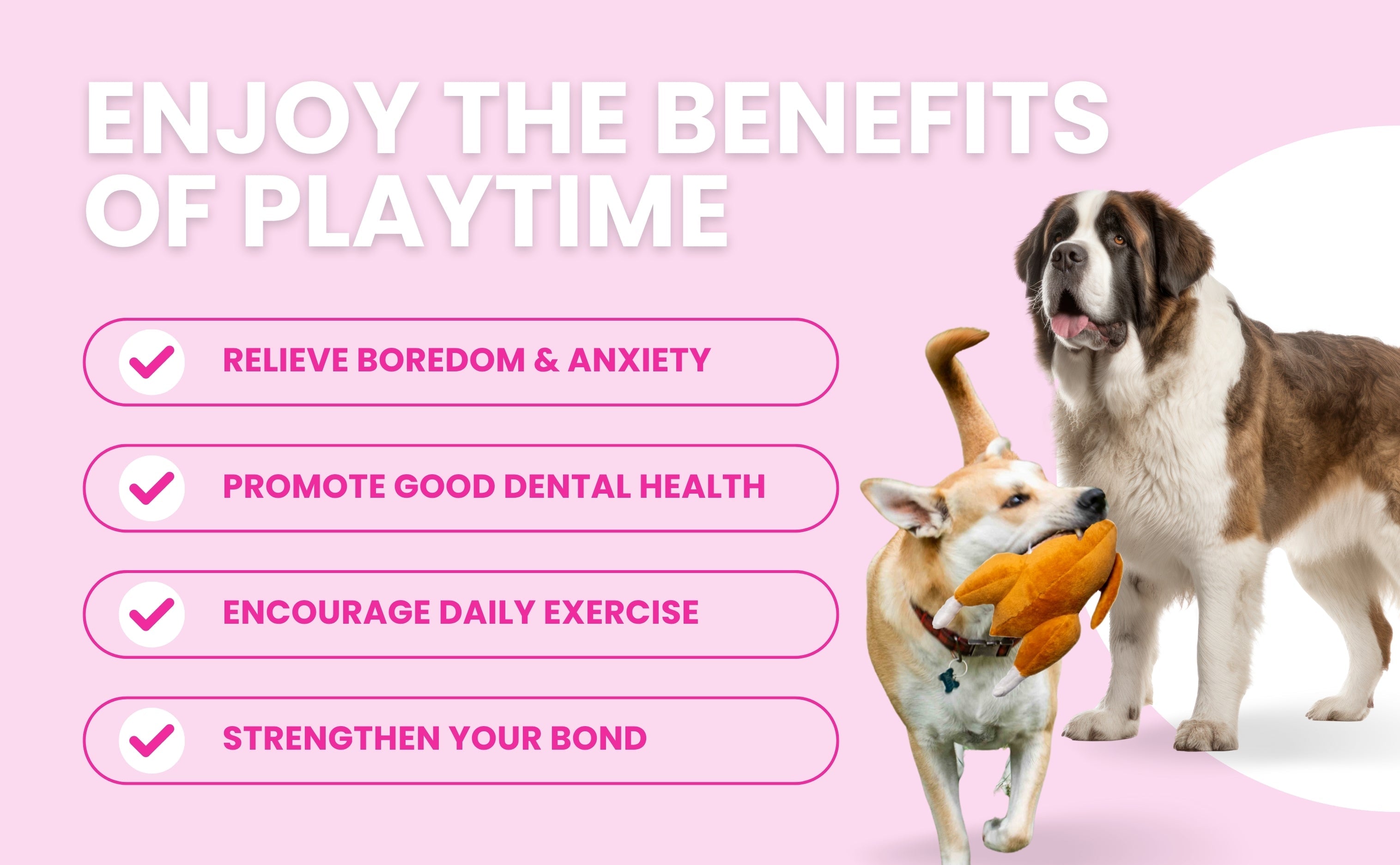 Thanksgiving Squeaky Plush Turkey Dog Toy