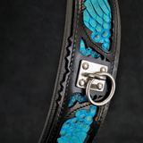 The ''Morelia Python'' collar
