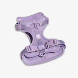 Summit Series Harness