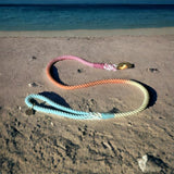 Rainbow Tie Dye Leash