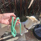 Green Ombre Boho Chic Dog Leash