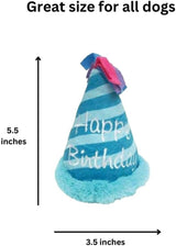Squeaky Blue Birthday Hat Dog Toy