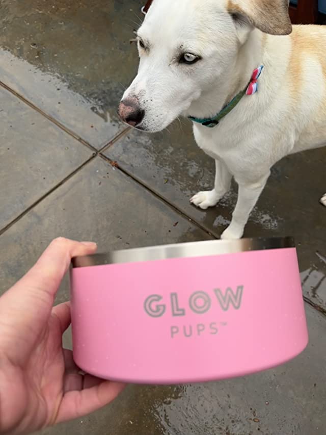Light Pink Stainless Steel Dog Bowl