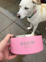Light Pink Stainless Steel Dog Bowl