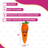 Squeaky Carrot Plush Dog Toy
