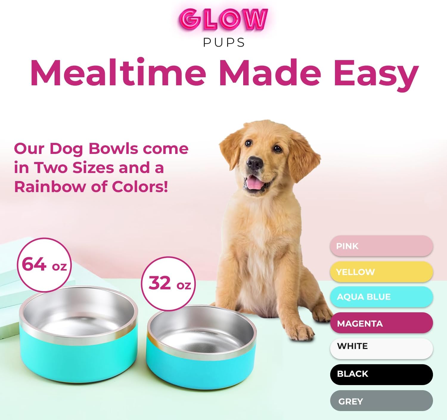 Aqua Blue Stainless Steel Dog Bowl