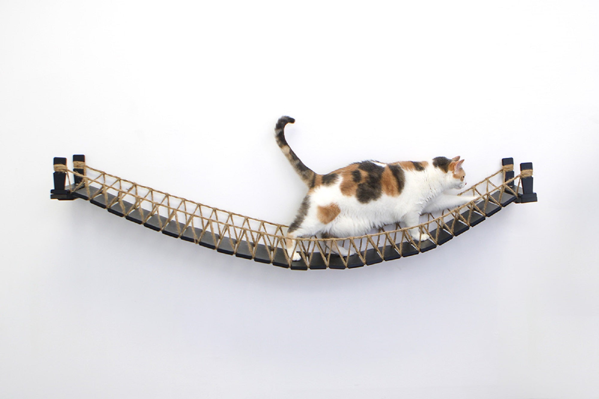 Cat Bridge for Wall by Catastrophic Creations
