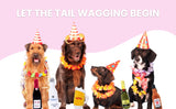 Pawty Pups Tequila Plush Dog Toy