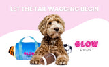 Sports Bag Hide & Seek Dog Toys