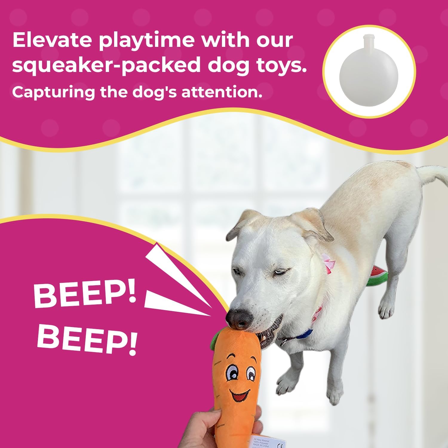 Squeaky Carrot Plush Dog Toy