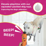 Squeaky Carrot Plush Dog Toy