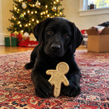Gingerbread Man Nylon Dog Chew Toy | USA Made | SodaPup