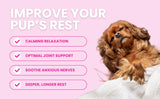 Chic Comfort Black and White Striped Sofa Dog Bed