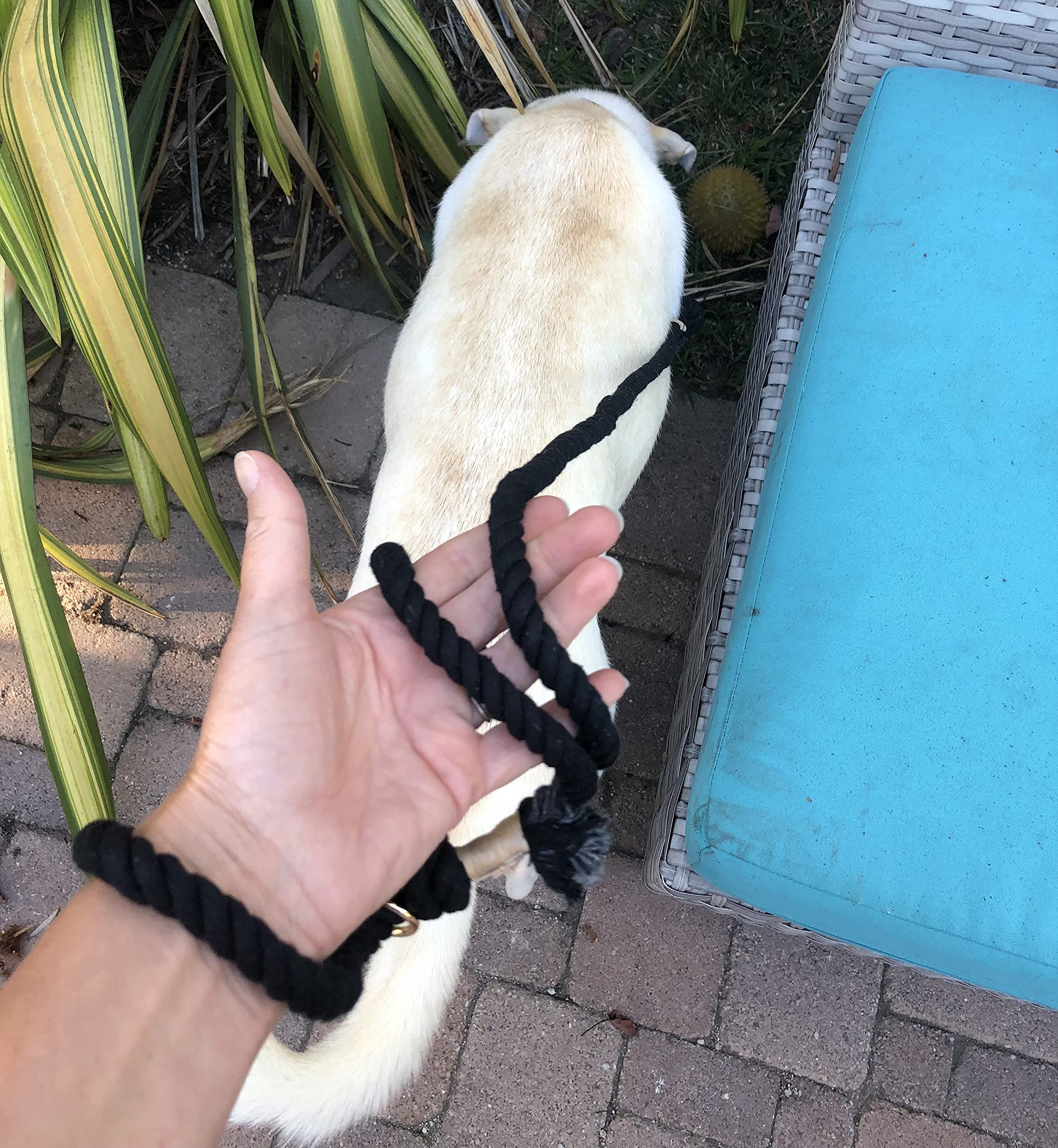 Black Boho Chic Style Rope Leash