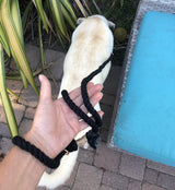 Black Boho Chic Style Rope Leash