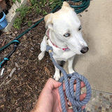Grey Boho Chic Style Rope Leash