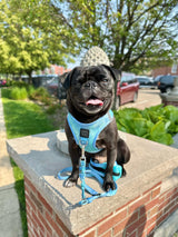 3-in-1 City Dog Leash - Ocean