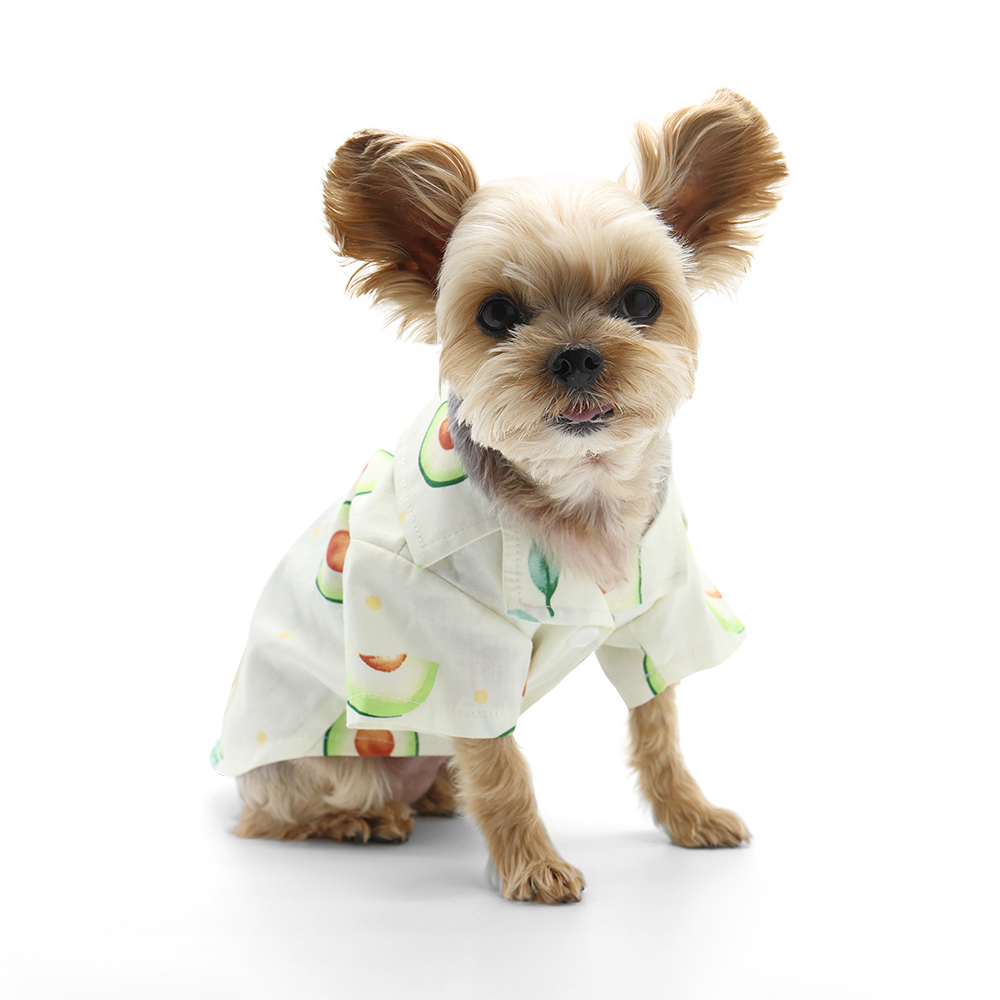Avocado Shirt