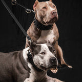 The Bestia multi purpose Police leash