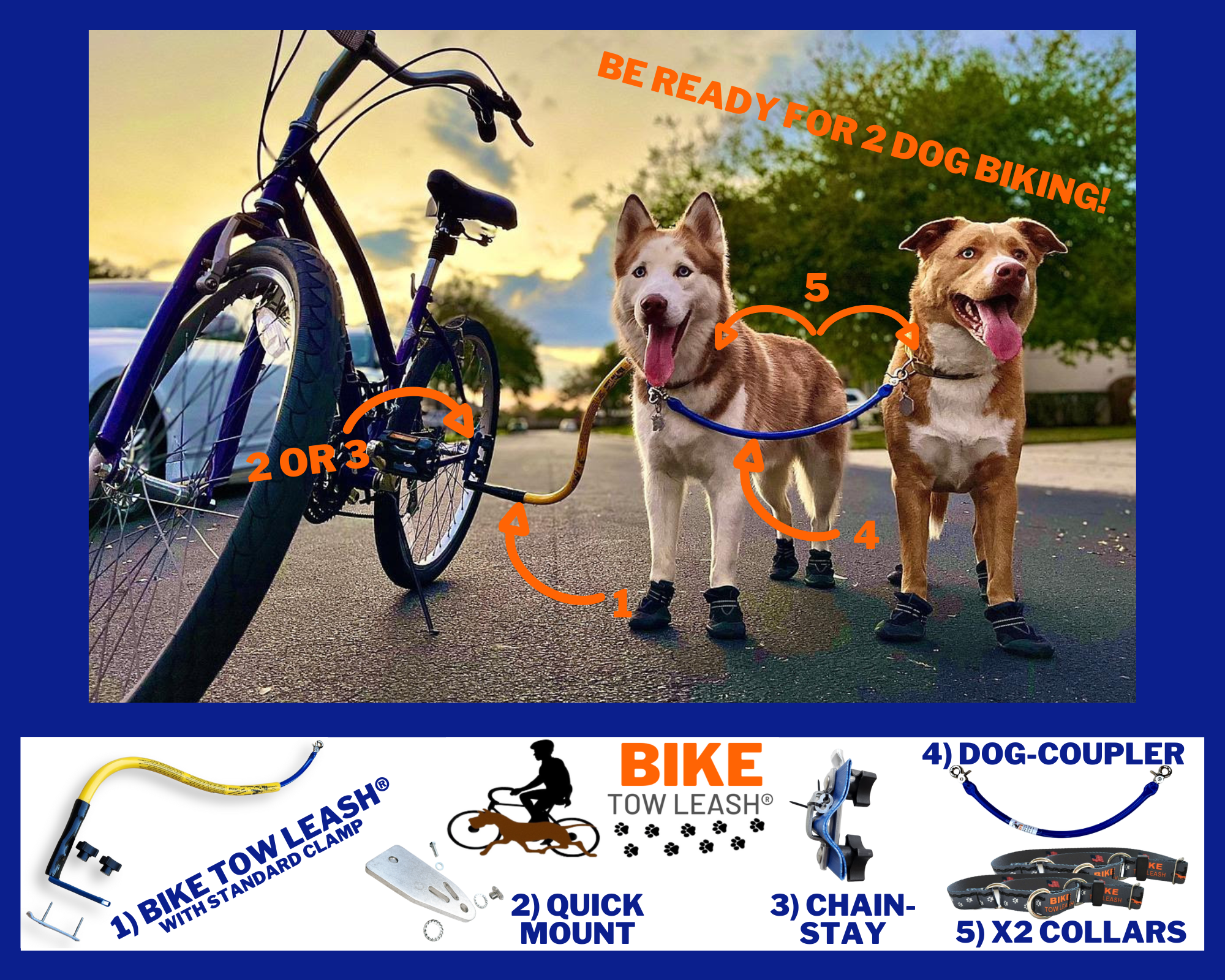 Bike Tow Leash Double Dog Package