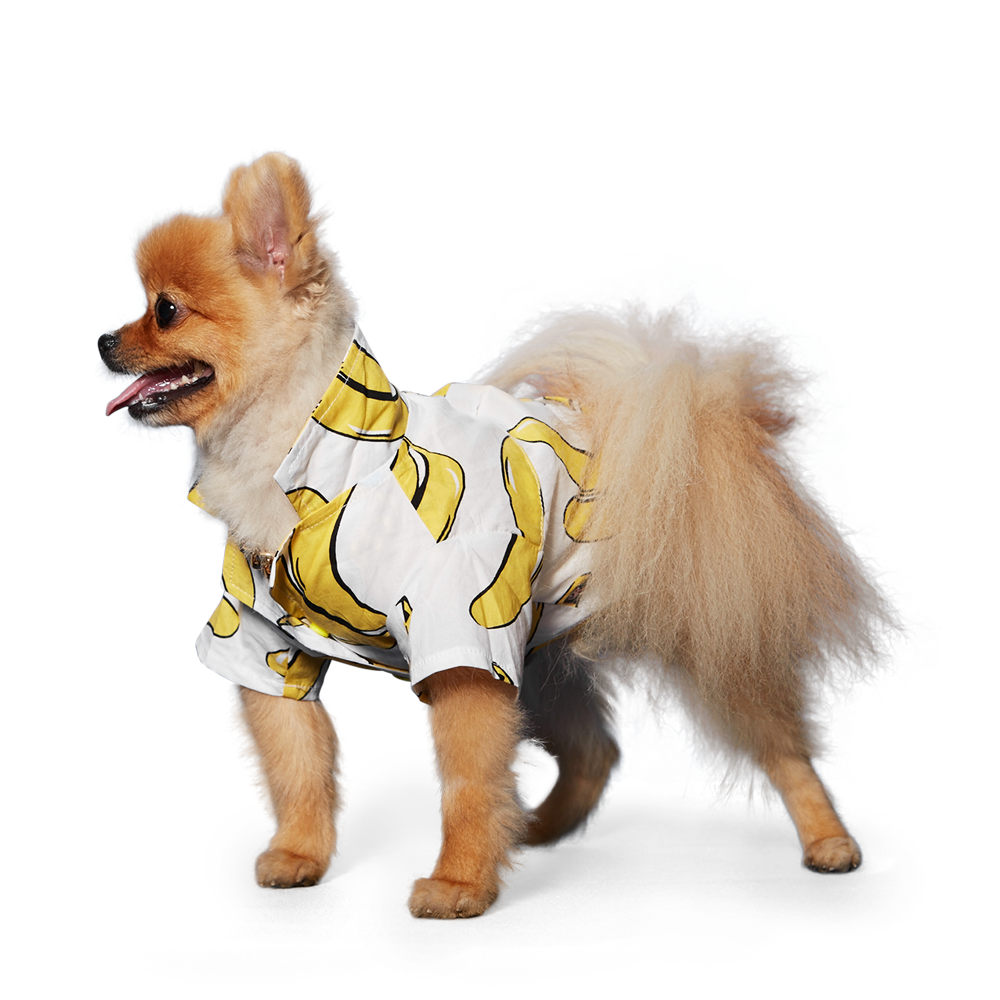 Banana Shirt