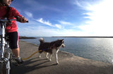 Bike Tow Leash