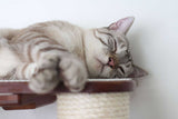The Catacombs - Cat Tree Scratching Post System by Catastrophic Creations