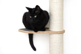 The Crow's Nest - A Wall Cat Scratcher with Hammock by Catastrophic Creations