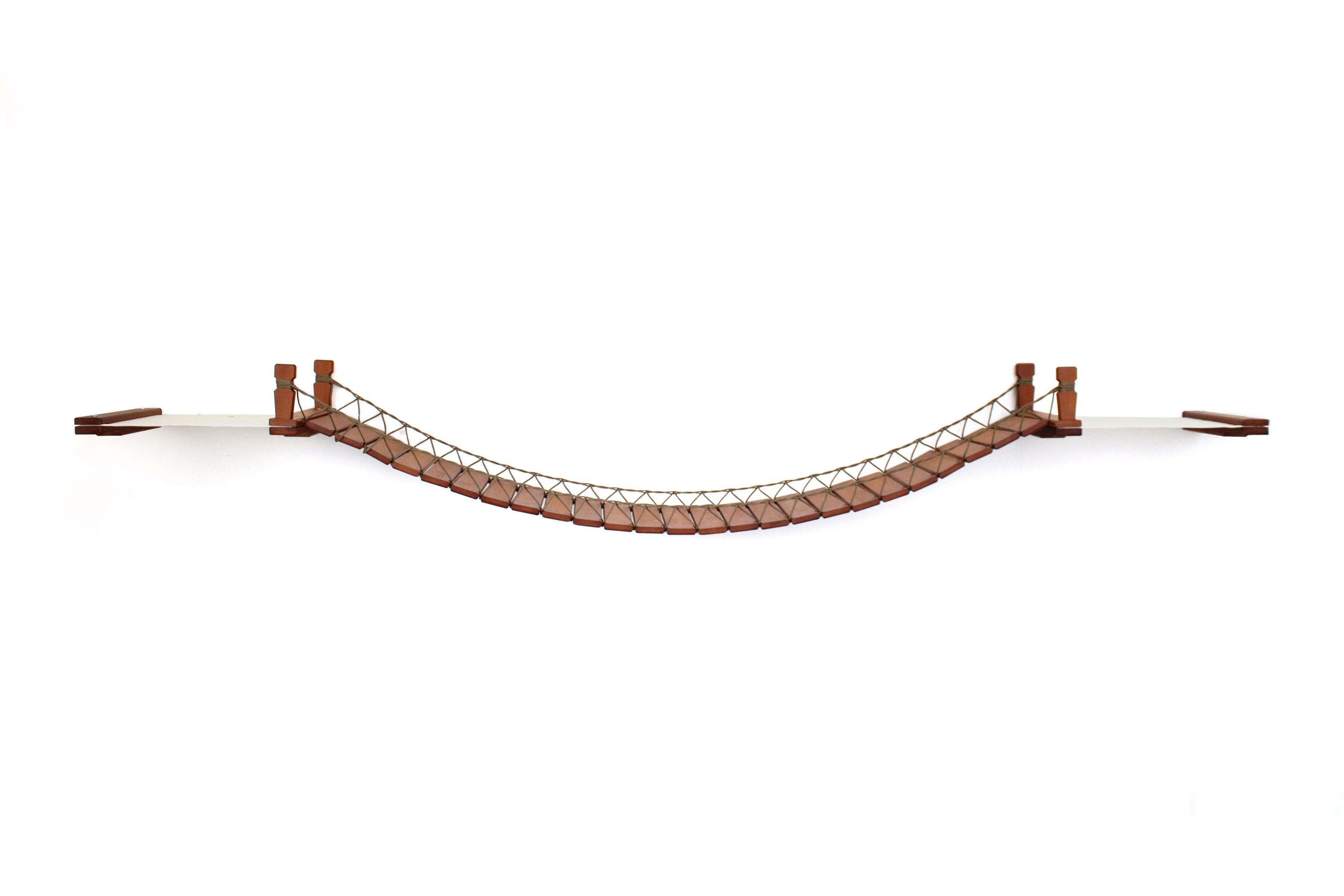 Double Cat Hammock and Climbing Bridge Combo by Catastrophic Creations