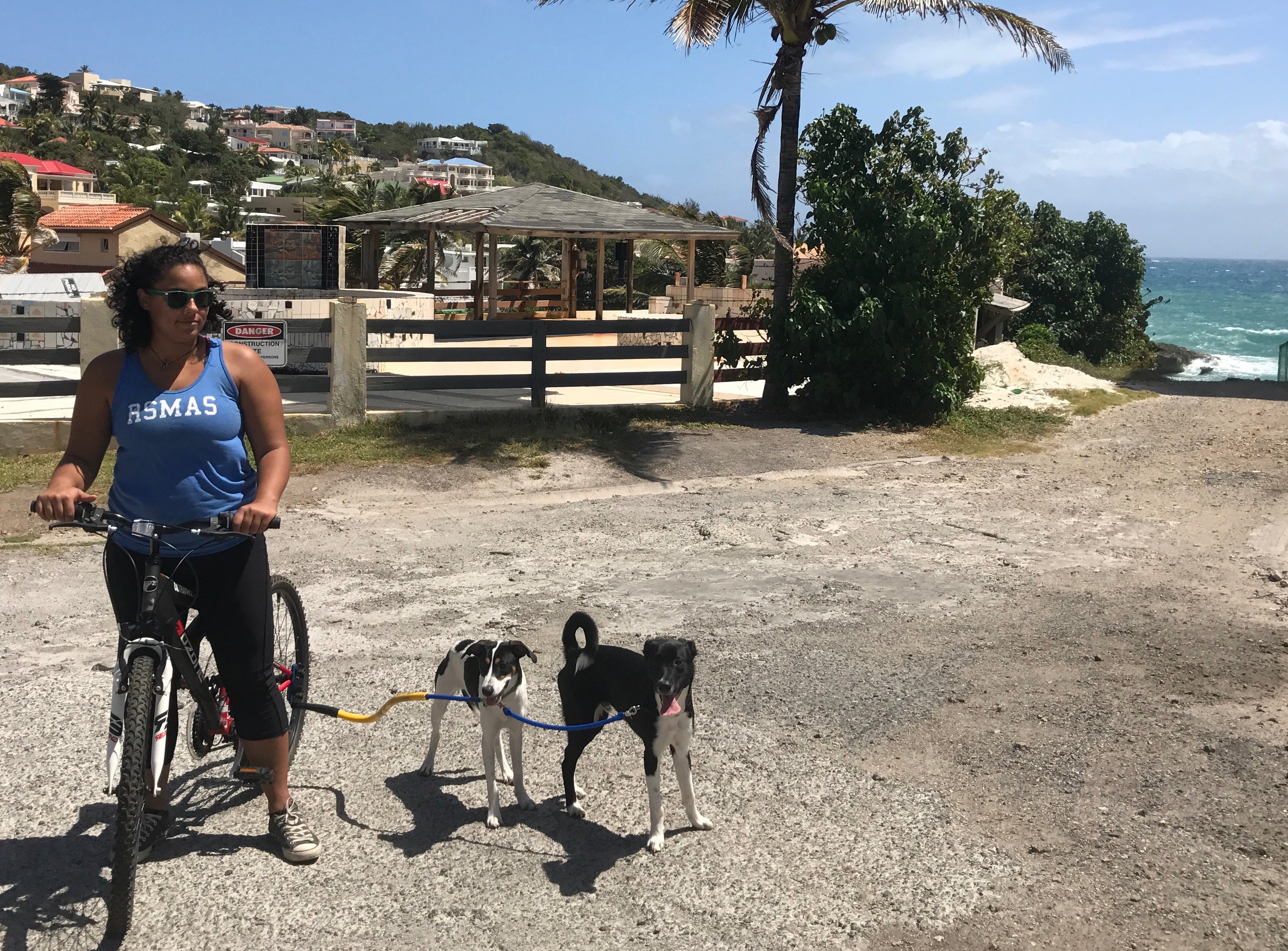Bike Tow Leash Double Dog Package