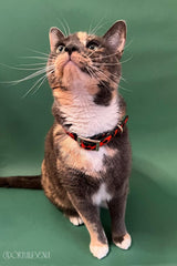 The Taylor Collar - Red Leopard