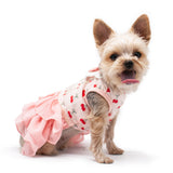 Cherish Cherry Dress