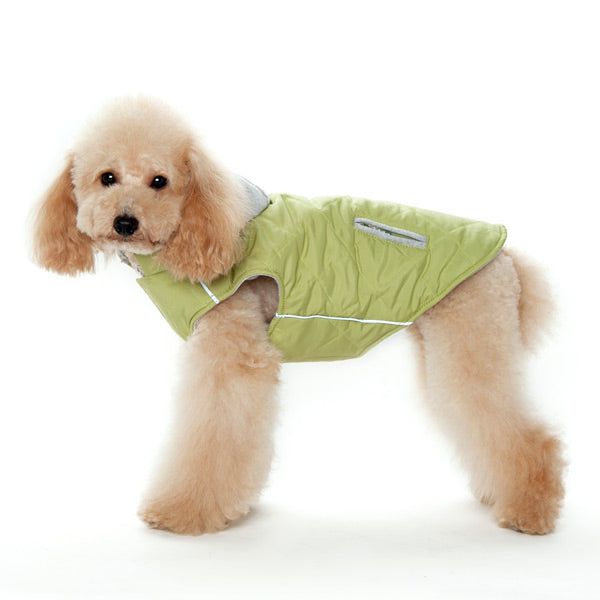 City Puffer Jacket