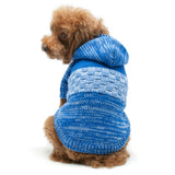 Colorblock Sweater Coat