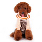 Contrast Hoodie Sweater