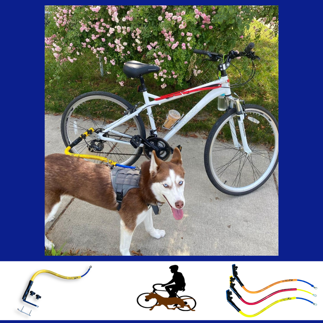 Bike Tow Leash