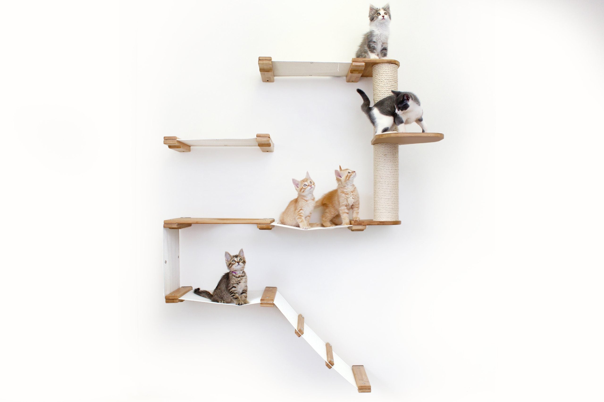 The Deluxe Cat Fort - Modern Cat Condo by Catastrophic Creations