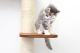 The Deluxe Cat Fort - Modern Cat Condo by Catastrophic Creations
