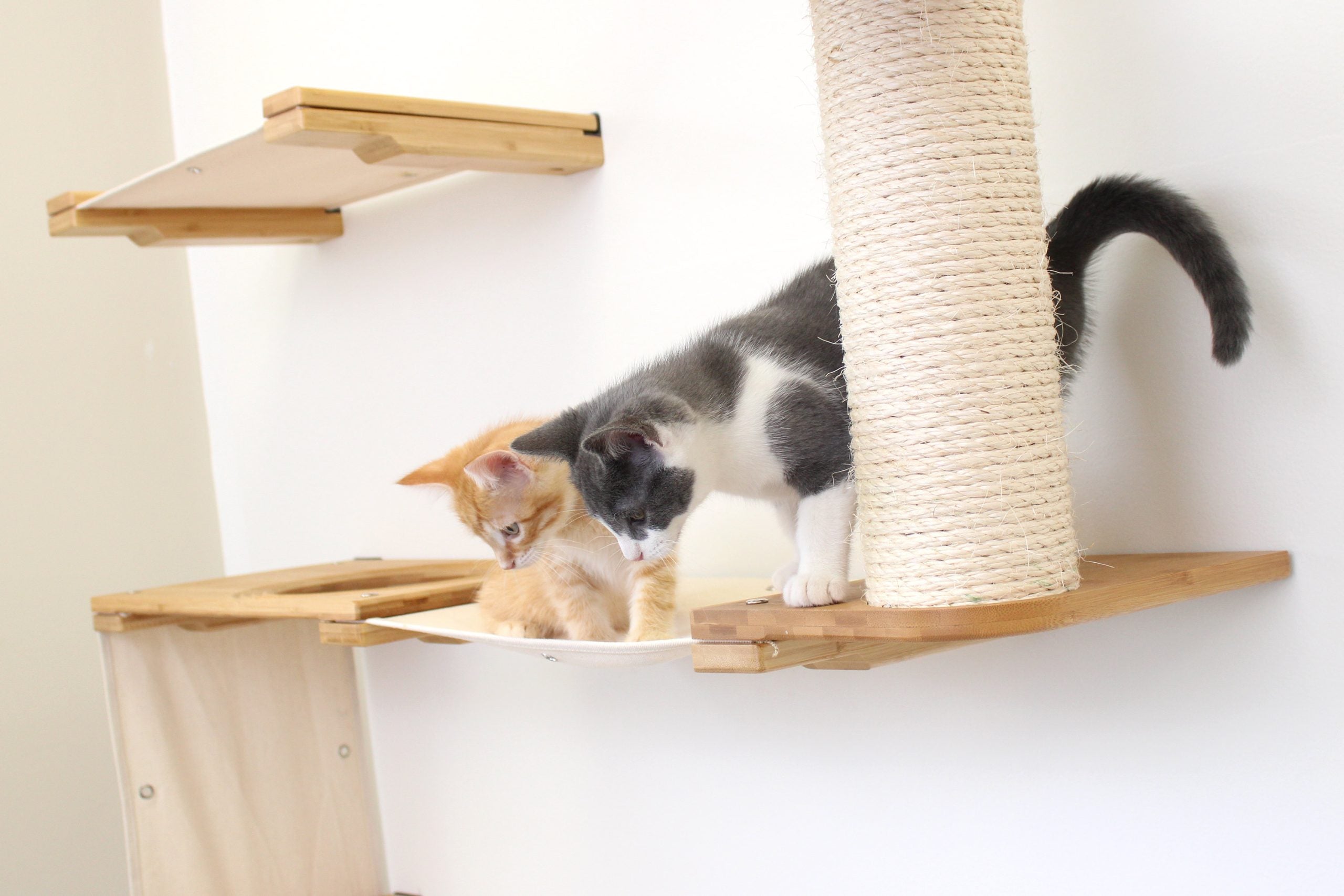 The Deluxe Cat Fort - Modern Cat Condo by Catastrophic Creations