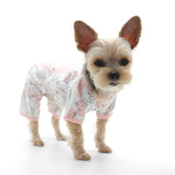 Dogo PJ Piggy