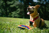 Hempy Natural Dye:  Hemp/Cotton blend Sport Disc  - Yellow/Orange/Blue