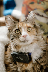 Cube GPS Tracker: Real-Time GPS Tracker | 4G LTE | Rechargeable Battery