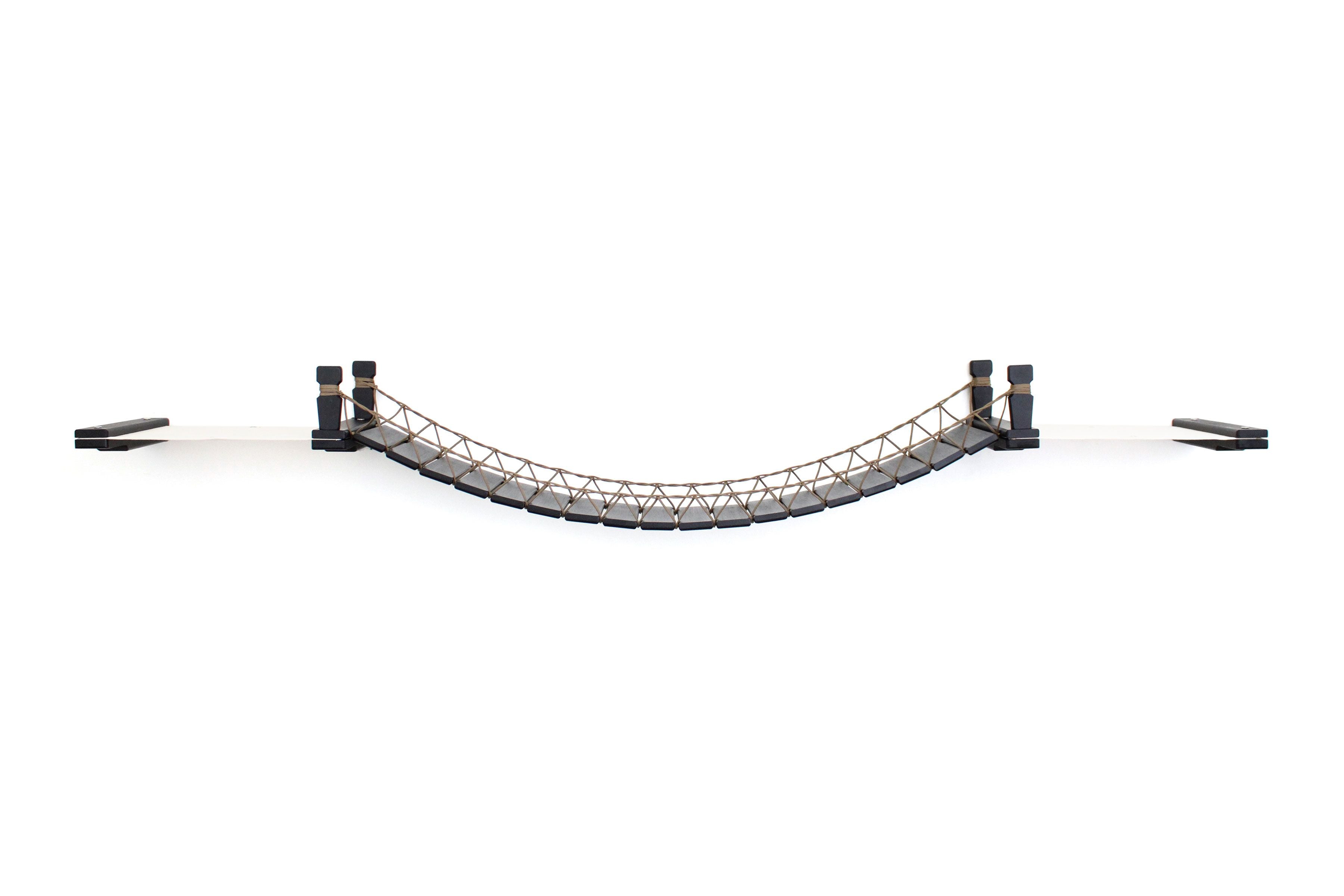 Double Cat Hammock and Climbing Bridge Combo by Catastrophic Creations