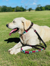 Pink and Turquoise dog collar