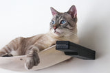 The Raceway - Wall Mounted Cat Hammock by Catastrophic Creations