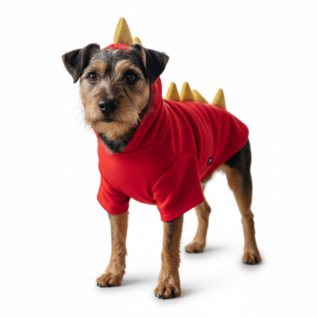 Dragon Sweatshirt