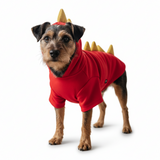 Dragon Sweatshirt