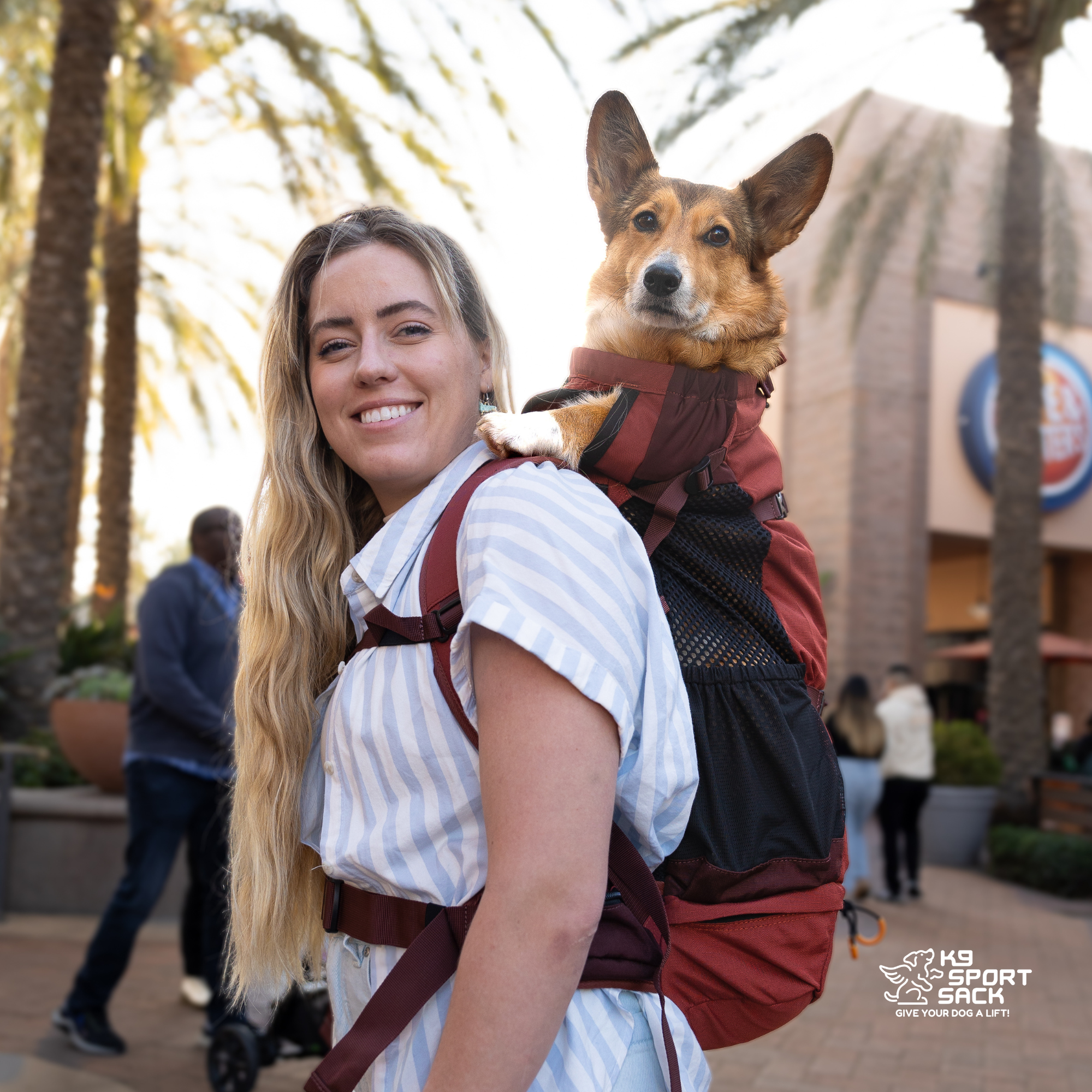 Knavigate | Advanced Dog Carrier with Internal Frame & Hip Belt
